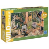 Blue Opal Wild Australia Puzzle - On The Forest Floor - 300pc